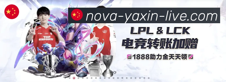 奖项4